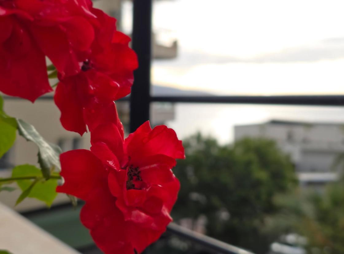 Valza Boutique Hotel Vlorë 外观 照片